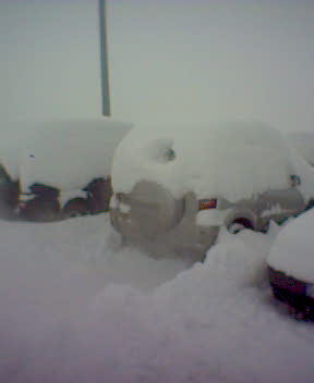 nevone sulle auto